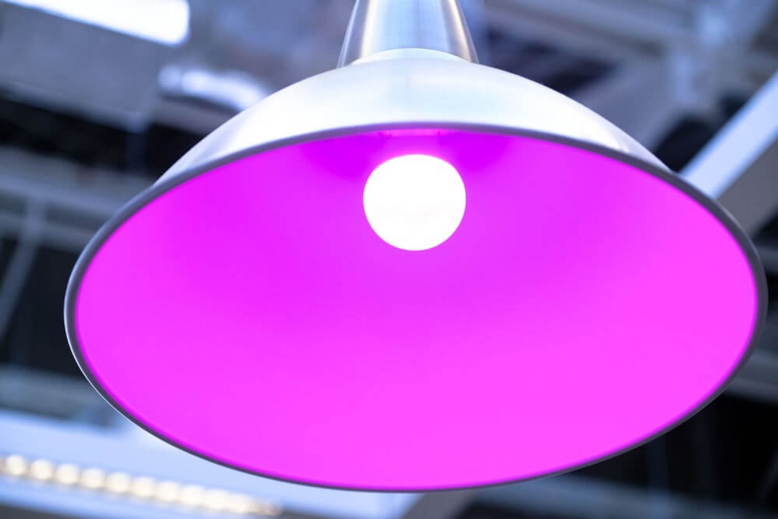 Grow Light Comparison Mars Hydra vs Viparspectra